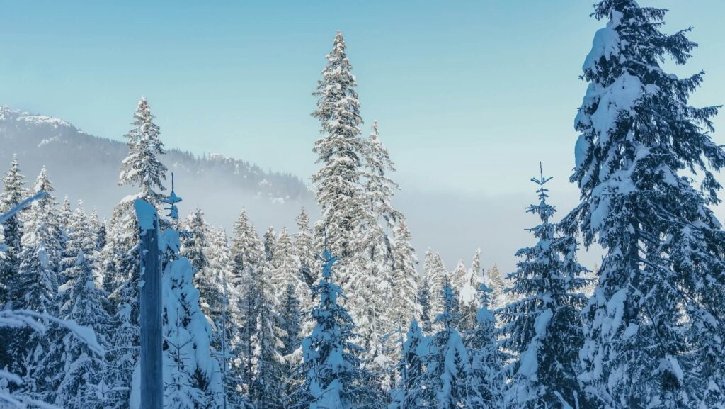 Gdzie pojechać zimą w Polsce