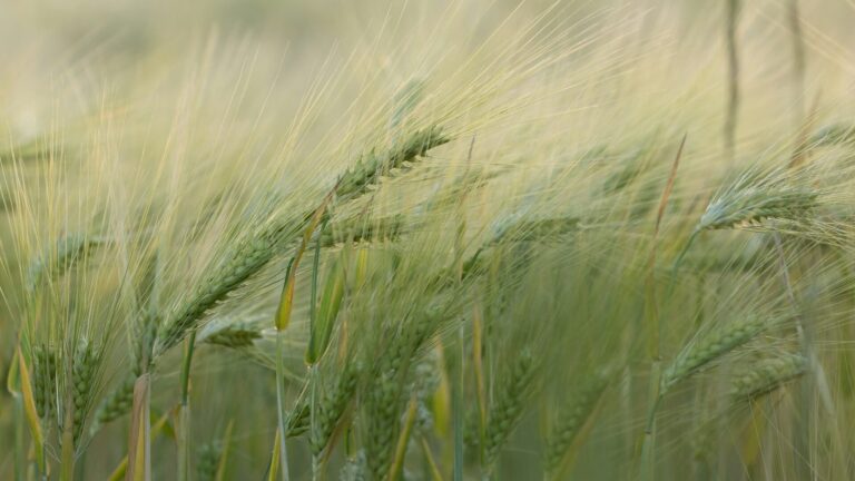 Gdzie warto pojechać na podlasiu?