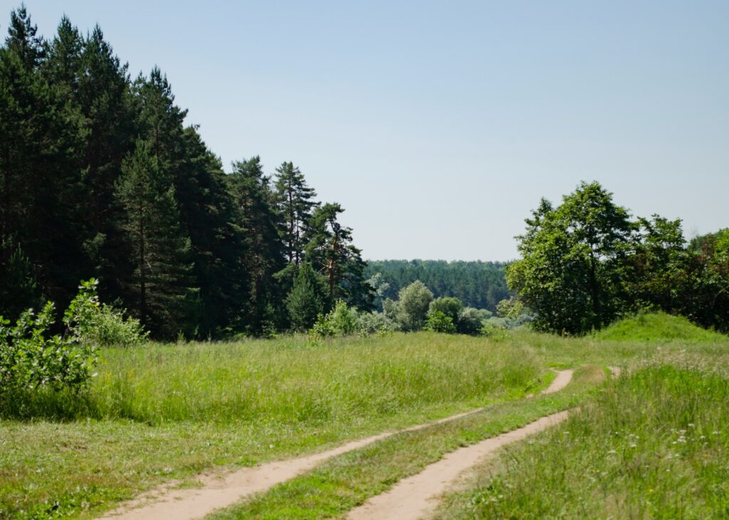 sierakowski park krajobrazowy